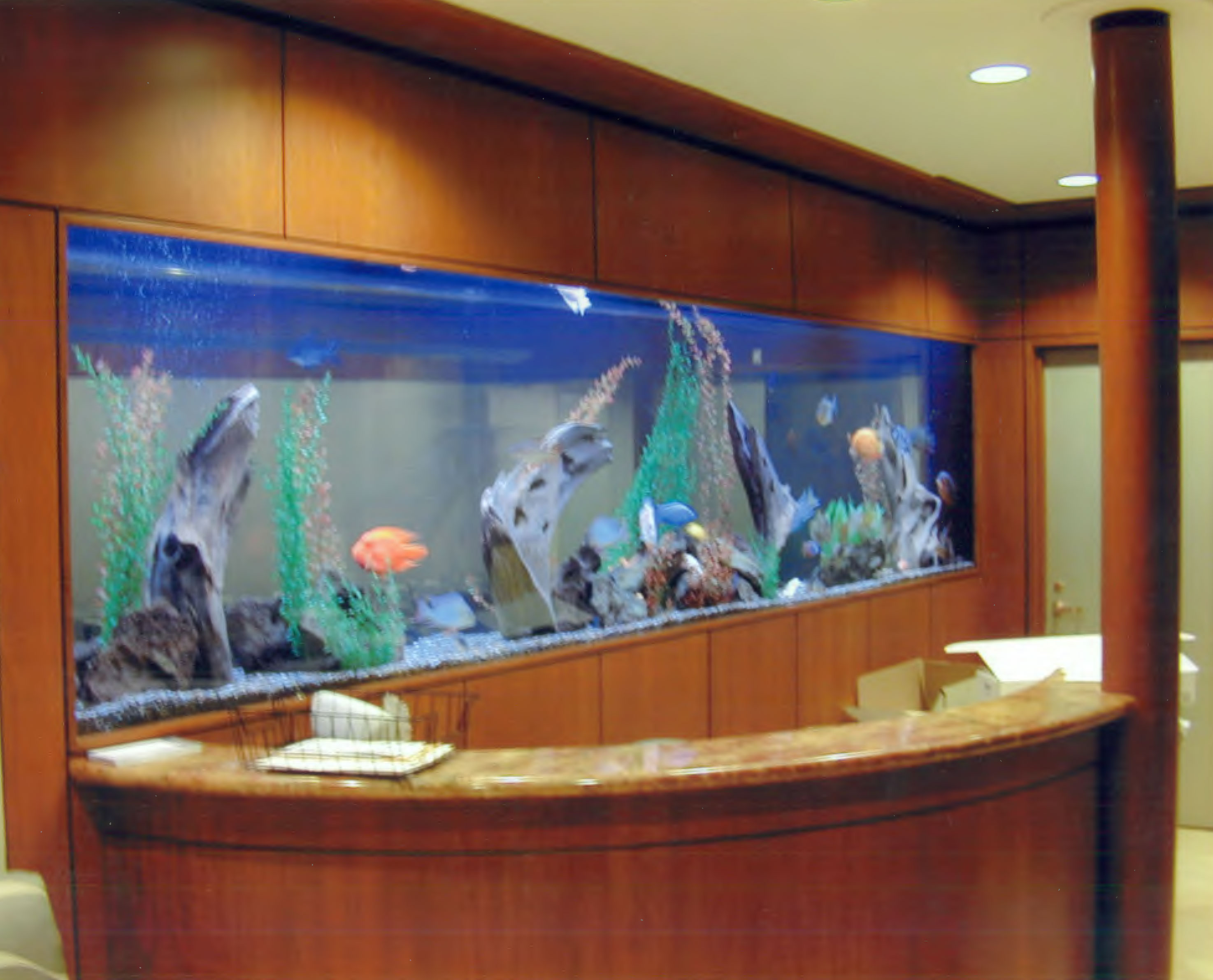 Aquarium In an Office Reception