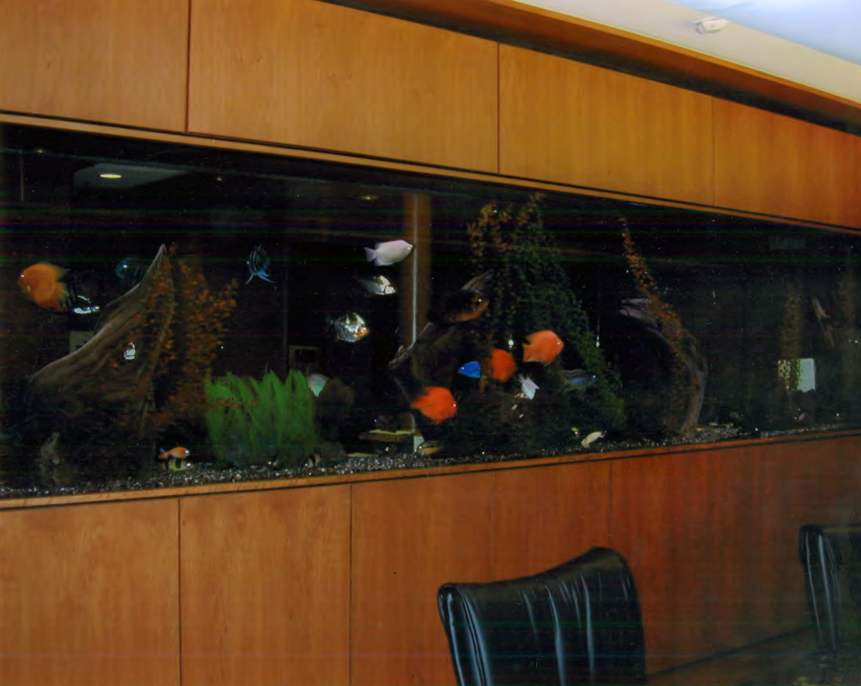 Aquarium In a Wooden Wall