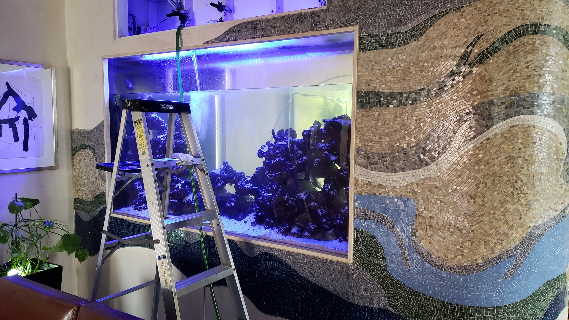 Purple Fish Tank